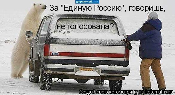 Котоматрица: За "Единую Россию", говоришь, не голосовала?
