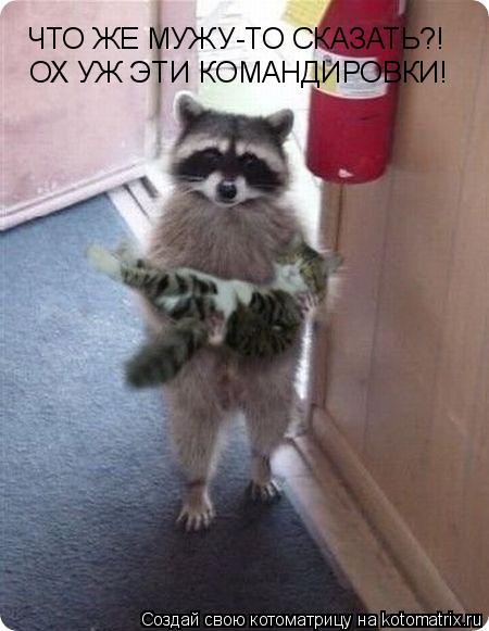 Котоматрица: ЧТО ЖЕ МУЖУ-ТО СКАЗАТЬ?! ОХ УЖ ЭТИ КОМАНДИРОВКИ!