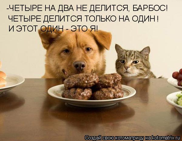 Котоматрица: -ЧЕТЫРЕ НА ДВА НЕ ДЕЛИТСЯ, БАРБОС! ЧЕТЫРЕ ДЕЛИТСЯ ТОЛЬКО НА ОДИН ! И ЭТОТ ОДИН - ЭТО Я!