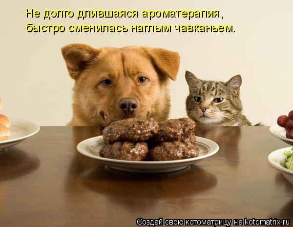 Не долго длившаяся ароматерапия, быстро сменилась наглым чавканьем.... Котоматрица: Не долго длившаяся ароматерапия, быстро сменилась наглым чавканьем.