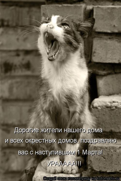 Дорогие жители нашего дома УРААААА!!! вас с наступившим 1 Марта! и всех окрестных домов, поздравляю... Котоматрица: Дорогие жители нашего дома УРААААА!!! вас с наступившим 1 Марта! и всех окрестных домов, поздравляю