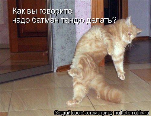 Как вы говорите надо батман тандю делать?... Котоматрица: Как вы говорите надо батман тандю делать?