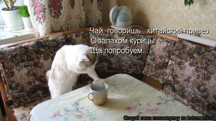 Чай, говоришь...китайский привез С запахом курицы.... Ща попробуем...... Котоматрица: Чай, говоришь...китайский привез С запахом курицы.... Ща попробуем...