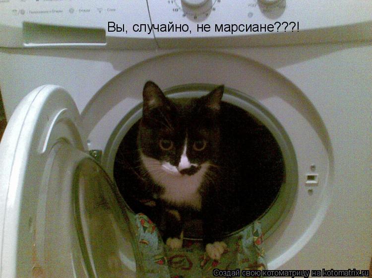 Котоматрица: Вы, случайно, не марсиане???!