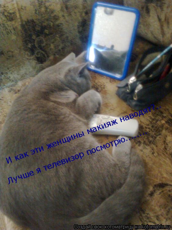 Котоматрица: И как эти женщины макияж наводят?.. И как эти женщины макияж наводят?.. Лучше я телевизор посмотрю........