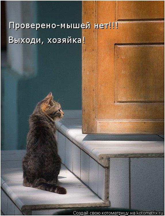 Проверено-мышей нет!!! Выходи, хозяйка!... Котоматрица: Проверено-мышей нет!!! Выходи, хозяйка!