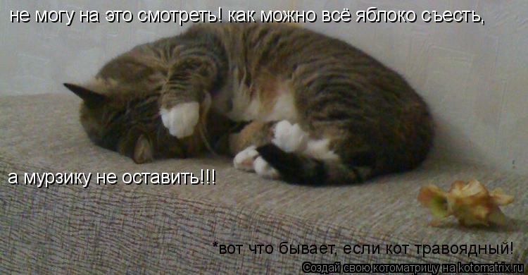 не могу на это смотреть! как можно всё яблоко съесть, а мурзику не оставить!!! *вот что бывает, если ... Котоматрица: не могу на это смотреть! как можно всё яблоко съесть, а мурзику не оставить!!! *вот что бывает, если кот травоядный!