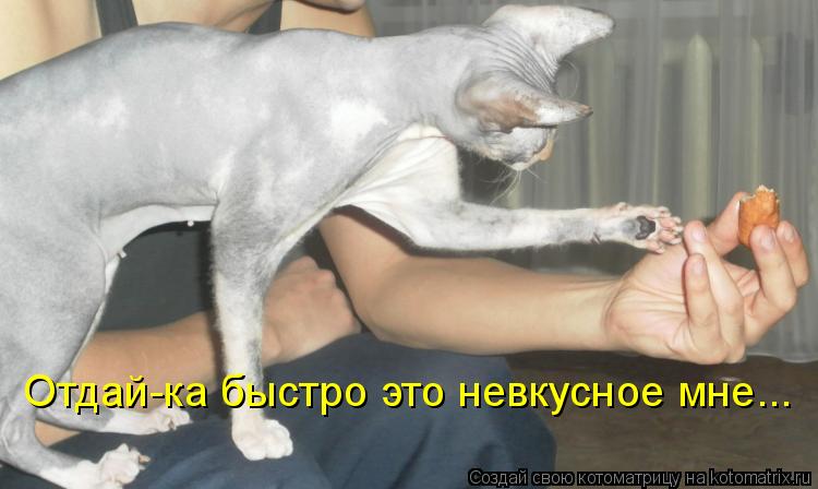 Отдай-ка быстро это невкусное мне...... Котоматрица: Отдай-ка быстро это невкусное мне...