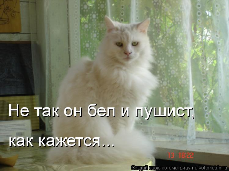 Не так он бел и пушист, как кажется...... Котоматрица: Не так он бел и пушист, как кажется...