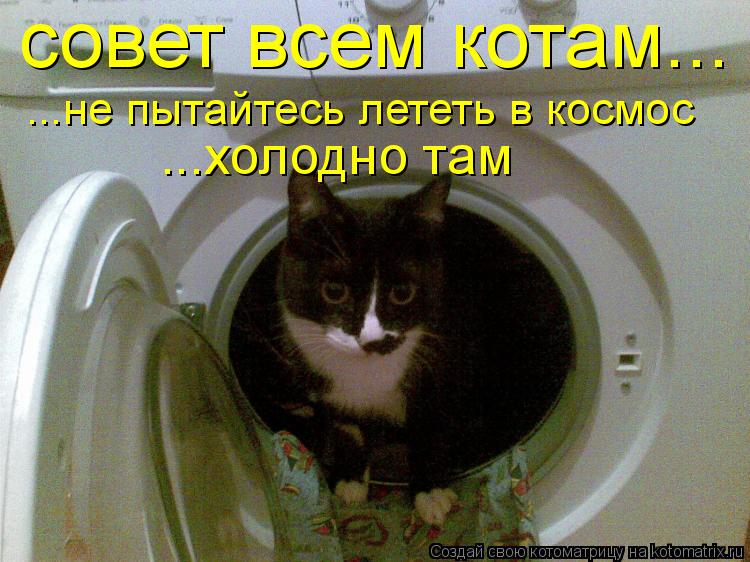 Котоматрица: совет всем котам... ...не пытайтесь лететь в космос ...холодно там