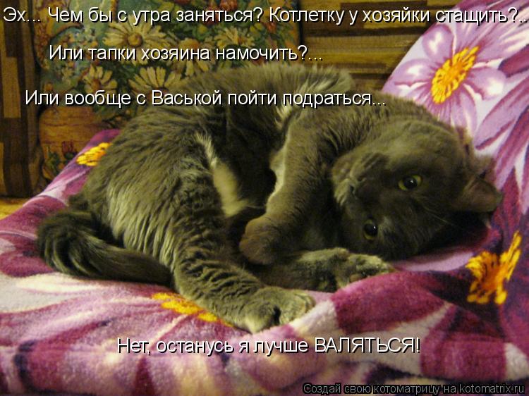 Эх... Чем бы с утра заняться? Котлетку у хозяйки стащить?... Или тапки хозяина намочить?... Нет, оста... Котоматрица: Эх... Чем бы с утра заняться? Котлетку у хозяйки стащить?... Или тапки хозяина намочить?... Нет, останусь я лучше ВАЛЯТЬСЯ! Или вообще с Васькой п