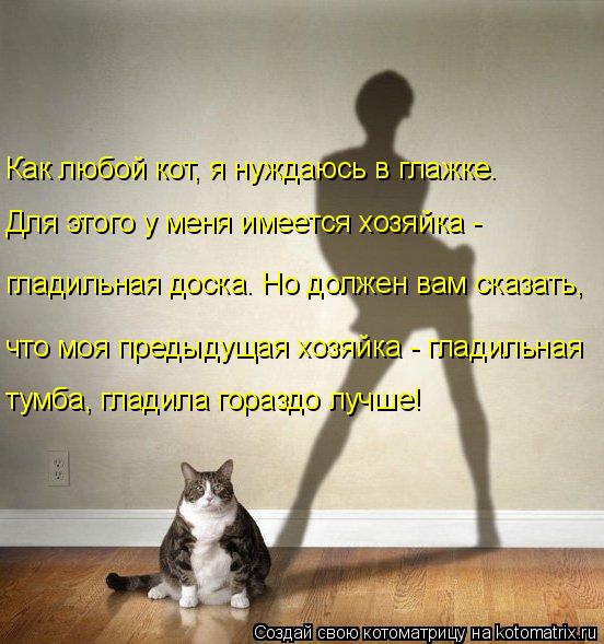 Как любой кот, я нуждаюсь в глажке. тумба, гладила гораздо лучше! что моя предыдущая хозяйка - гладил... Котоматрица: Как любой кот, я нуждаюсь в глажке. тумба, гладила гораздо лучше! что моя предыдущая хозяйка - гладильная гладильная доска. Но должен вам ска
