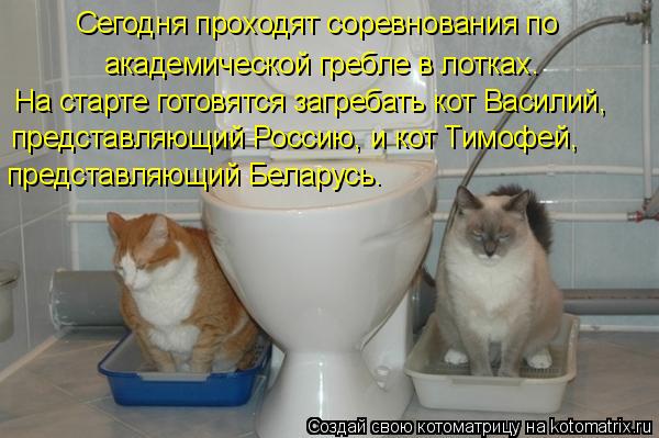 Сегодня проходят соревнования по академической гребле в лотках. На старте готовятся загребать кот Вас... Котоматрица: Сегодня проходят соревнования по академической гребле в лотках. На старте готовятся загребать кот Василий, представляющий Россию, и кот Ти