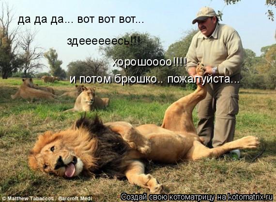 да да да... вот вот вот... здеееееесь!!! хорошоооо!!!! и потом брюшко.. пожалуйста...... Котоматрица: да да да... вот вот вот... здеееееесь!!! хорошоооо!!!! и потом брюшко.. пожалуйста...