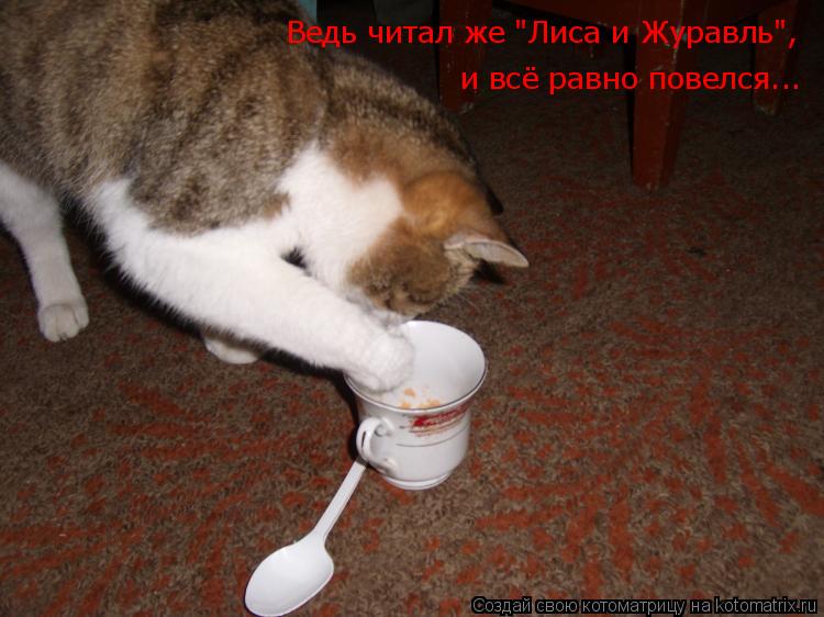 Ведь читал же "Лиса и Журавль", и всё равно повелся...... Котоматрица: Ведь читал же "Лиса и Журавль", и всё равно повелся...