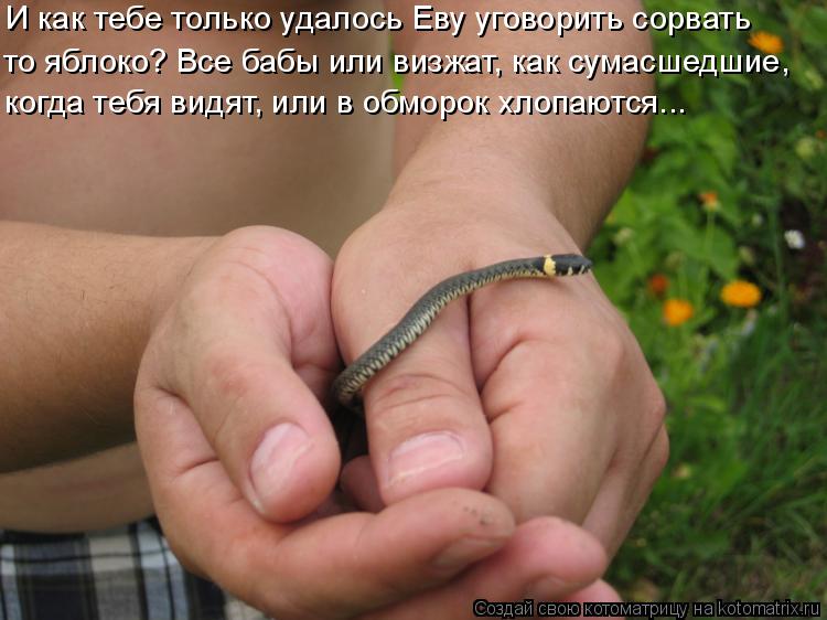 И как тебе только удалось Еву уговорить сорвать когда тебя видят, или в обморок хлопаются... то яблок... Котоматрица: И как тебе только удалось Еву уговорить сорвать когда тебя видят, или в обморок хлопаются... то яблоко? Все бабы или визжат, как сумасшедшие,