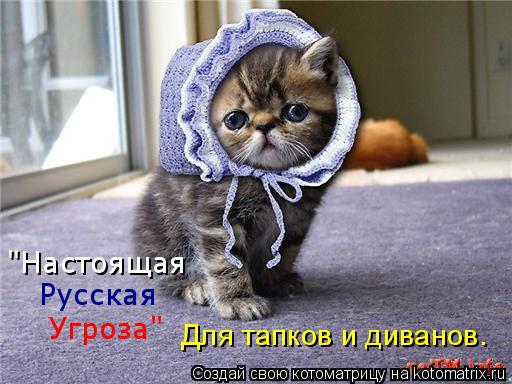 "Настоящая Русская Угроза" Для тапков и диванов.... Котоматрица: "Настоящая Русская Угроза" Для тапков и диванов.