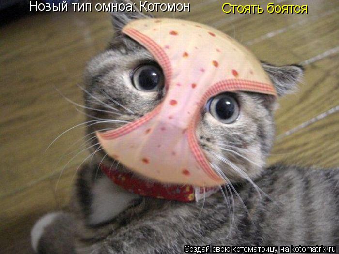 Новый тип омноа: Котомон Стоять боятся... Котоматрица: Новый тип омноа: Котомон Стоять боятся