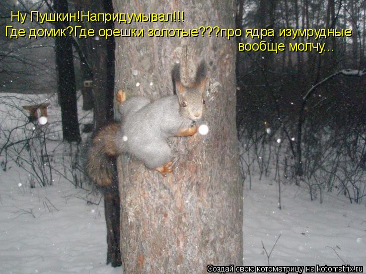 Ну Пушкин!Напридумывал!!! Где домик?Где орешки золотые???про ядра изумрудные вообще молчу...... Котоматрица: Ну Пушкин!Напридумывал!!! Где домик?Где орешки золотые???про ядра изумрудные вообще молчу...