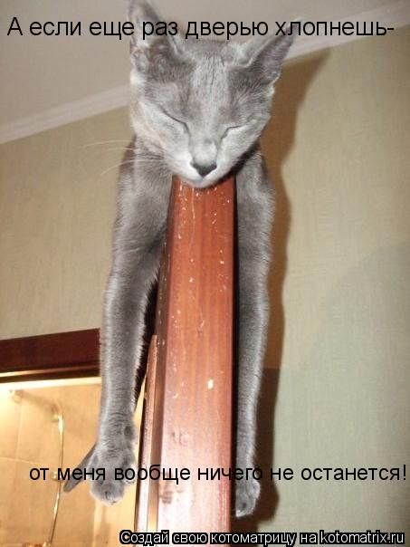 А если еще раз дверью хлопнешь- от меня вообще ничего не останется!... Котоматрица: А если еще раз дверью хлопнешь- от меня вообще ничего не останется!