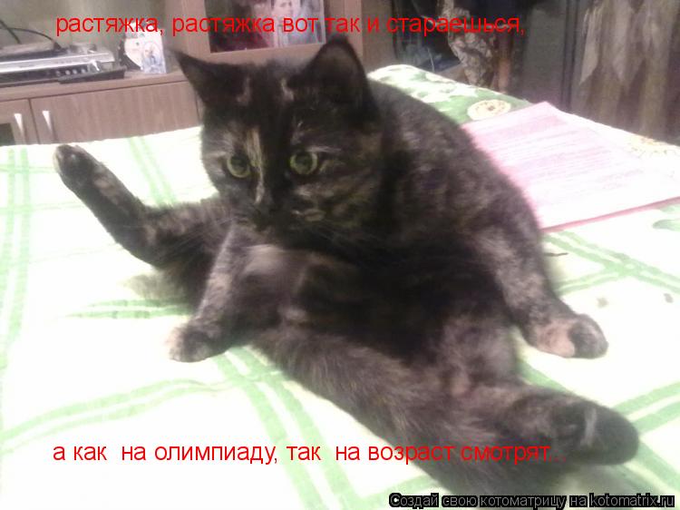 растяжка, растяжка вот так и стараешься, а как на олимпиаду, так на возраст смотрят...... Котоматрица: растяжка, растяжка вот так и стараешься, а как на олимпиаду, так на возраст смотрят...
