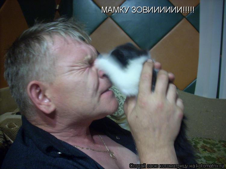 МАМКУ ЗОВИИИИИИ!!!!!... Котоматрица: МАМКУ ЗОВИИИИИИ!!!!!