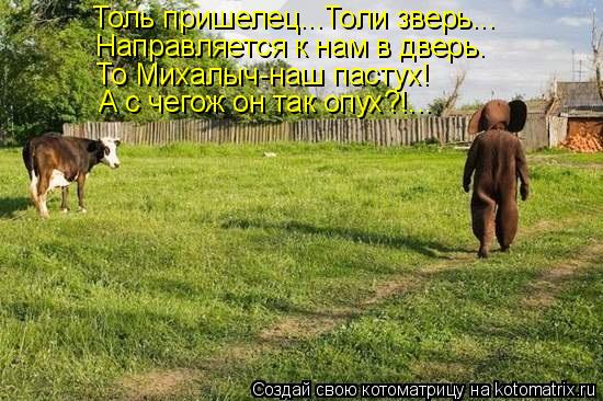 Толь пришелец...Толи зверь... Направляется к нам в дверь. То Михалыч-наш пастух! А с чегож он так опу... Котоматрица: Толь пришелец...Толи зверь... Направляется к нам в дверь. То Михалыч-наш пастух! А с чегож он так опух?!...