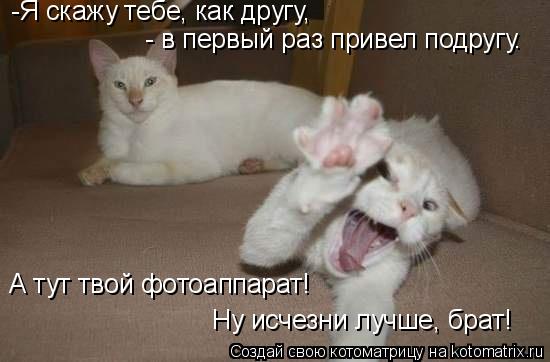 -Я скажу тебе, как другу, - в первый раз привел подругу. А тут твой фотоаппарат! Ну исчезни лучше, б... Котоматрица: -Я скажу тебе, как другу, - в первый раз привел подругу. А тут твой фотоаппарат! Ну исчезни лучше, брат!