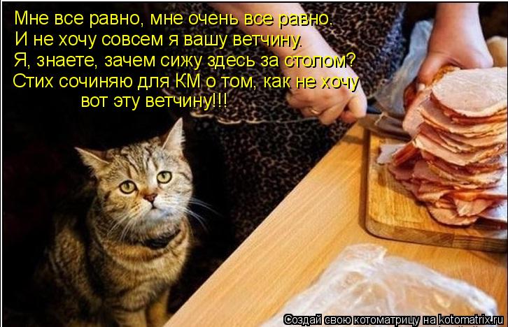 Мне все равно, мне очень все равно. И не хочу совсем я вашу ветчину. Я, знаете, зачем сижу здесь за с... Котоматрица: Мне все равно, мне очень все равно. И не хочу совсем я вашу ветчину. Я, знаете, зачем сижу здесь за столом? Стих сочиняю для КМ о том, как не хоч