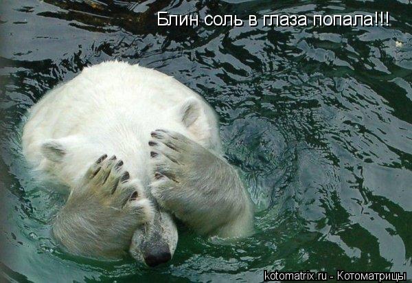 Блин соль в глаза попала!!!... Котоматрица: Блин соль в глаза попала!!!