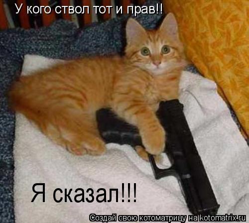 У кого ствол тот и прав!! Я сказал!!!... Котоматрица: У кого ствол тот и прав!! Я сказал!!!