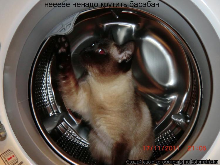 неееее ненадо крутить барабан... Котоматрица: неееее ненадо крутить барабан