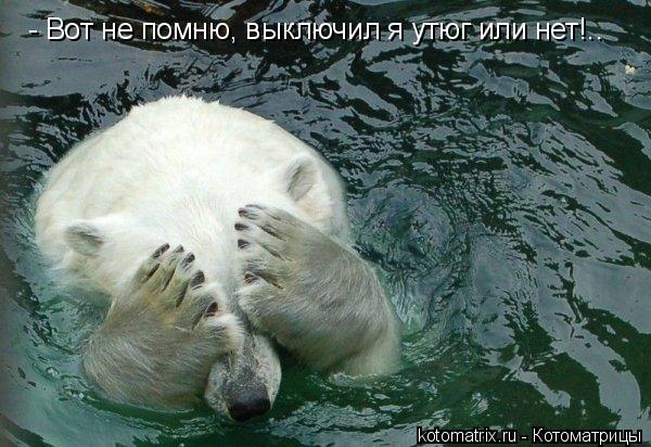 - Вот не помню, выключил я утюг или нет!..... Котоматрица: - Вот не помню, выключил я утюг или нет!..