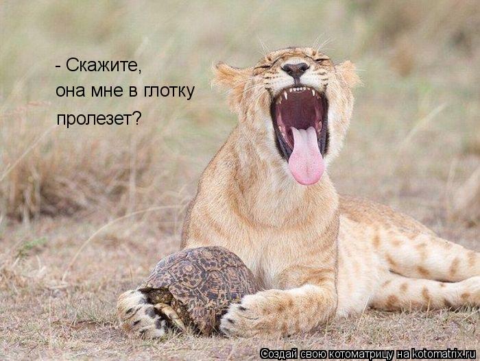 - Скажите, она мне в глотку пролезет?... Котоматрица: - Скажите, она мне в глотку пролезет?