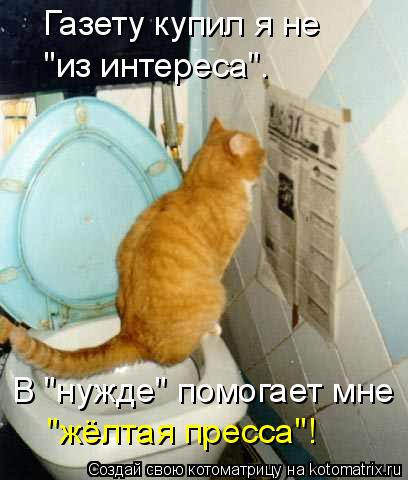 Газету купил я не "из интереса". В "нужде" помогает мне "жёлтая пресса"!... Котоматрица: Газету купил я не "из интереса". В "нужде" помогает мне "жёлтая пресса"!