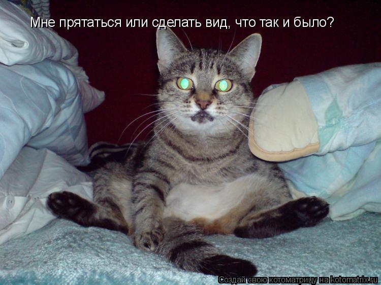 Мне прятаться или сделать вид, что так и было?... Котоматрица: Мне прятаться или сделать вид, что так и было?