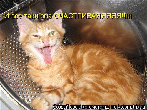 И все таки она СЧАСТЛИВАЯЯЯЯЯ!!!!!... Котоматрица: И все таки она СЧАСТЛИВАЯЯЯЯЯ!!!!!