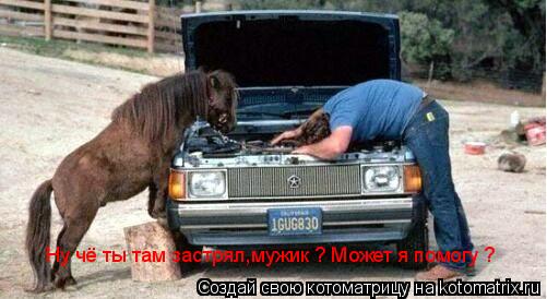 Ну чё ты там застрял,мужик ? Может я помогу ?... Котоматрица: Ну чё ты там застрял,мужик ? Может я помогу ?