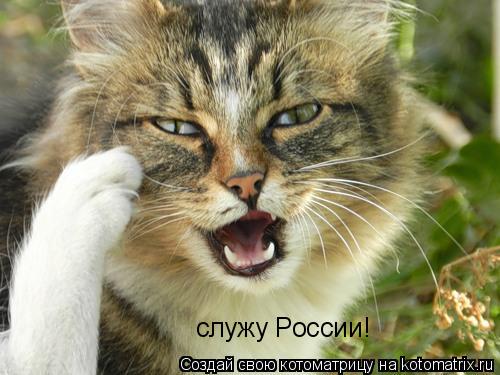 служу России!... Котоматрица: служу России!