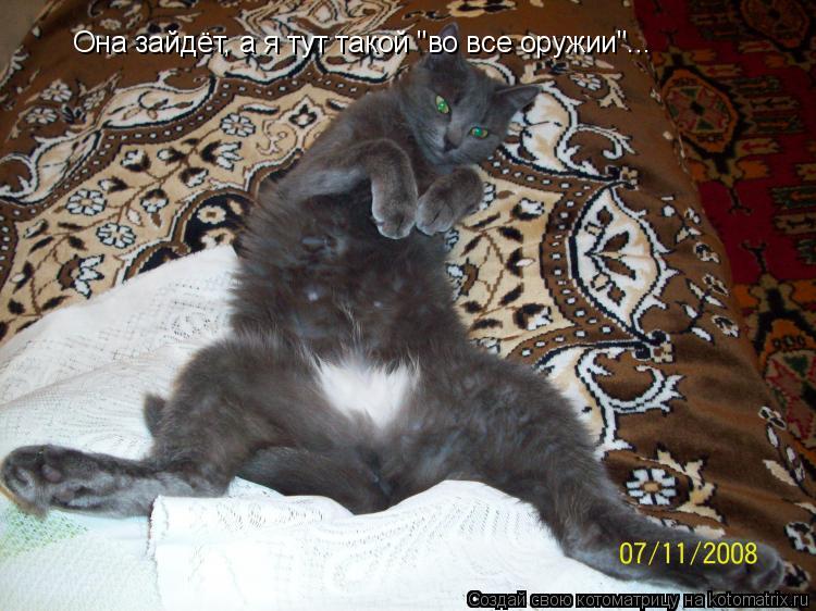 Она зайдёт, а я тут такой "во все оружии"...... Котоматрица: Она зайдёт, а я тут такой "во все оружии"...