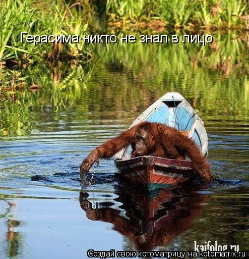 Герасима никто не знал в лицо... Котоматрица: Герасима никто не знал в лицо