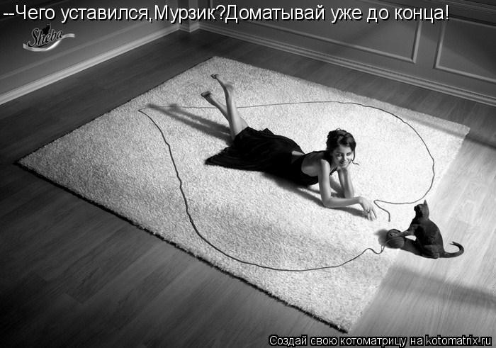 --Чего уставился,Мурзик?Доматывай уже до конца!... Котоматрица: --Чего уставился,Мурзик?Доматывай уже до конца!