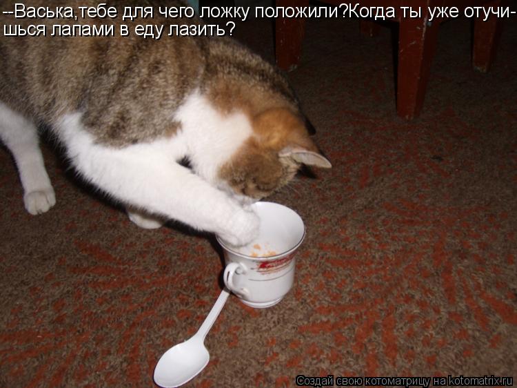 --Васька,тебе для чего ложку положили?Когда ты уже отучи- шься лапами в еду лазить?... Котоматрица: --Васька,тебе для чего ложку положили?Когда ты уже отучи- шься лапами в еду лазить?