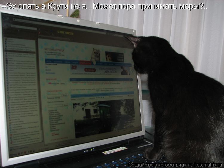 --Эх,опять в Крути не я...Может,пора принимать меры?..... Котоматрица: --Эх,опять в Крути не я...Может,пора принимать меры?..