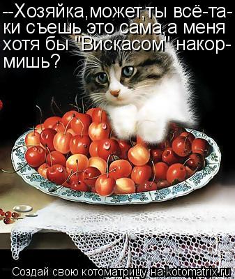 --Хозяйка,может,ты всё-та- ки съешь это сама,а меня хотя бы "Вискасом" накор- мишь?... Котоматрица: --Хозяйка,может,ты всё-та- ки съешь это сама,а меня хотя бы "Вискасом" накор- мишь?