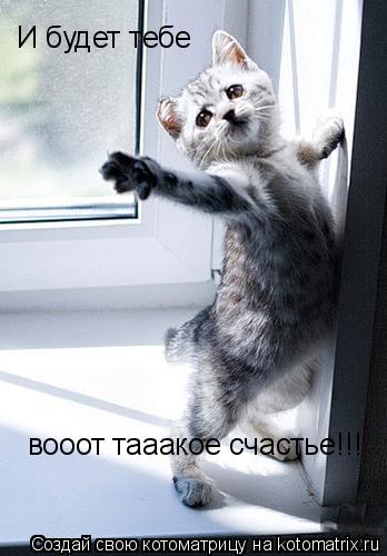 И будет тебе вооот тааакое счастье!!!... Котоматрица: И будет тебе вооот тааакое счастье!!!