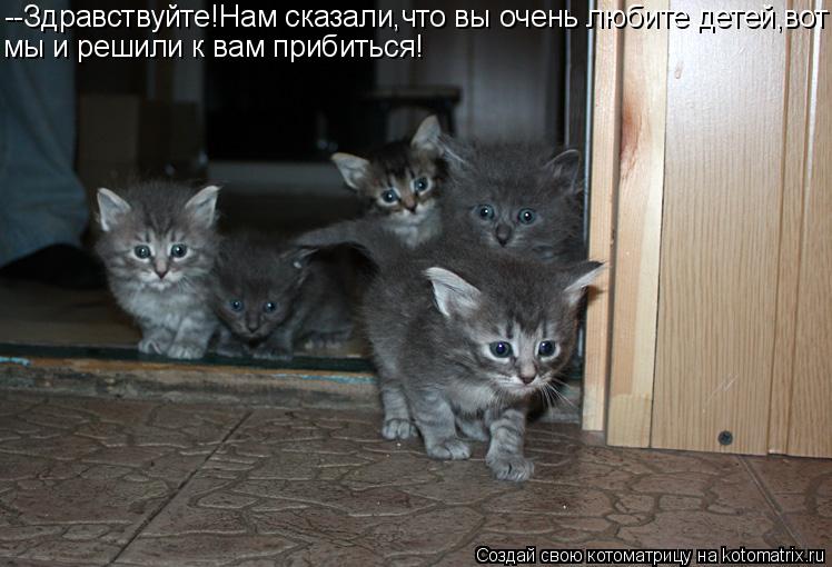 --Здравствуйте!Нам сказали,что вы очень любите детей,вот мы и решили к вам прибиться!... Котоматрица: --Здравствуйте!Нам сказали,что вы очень любите детей,вот мы и решили к вам прибиться!