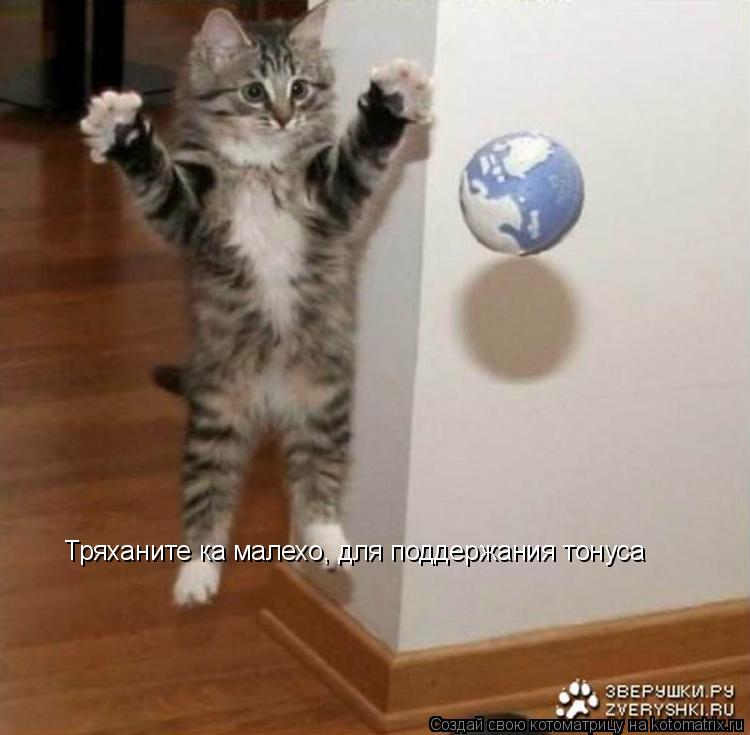 Тряханите ка малехо, для поддержания тонуса... Котоматрица: Тряханите ка малехо, для поддержания тонуса