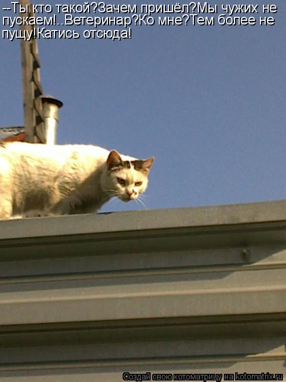 --Ты кто такой?Зачем пришёл?Мы чужих не пускаем!..Ветеринар?Ко мне?Тем более не пущу!Катись отсюда!... Котоматрица: --Ты кто такой?Зачем пришёл?Мы чужих не пускаем!..Ветеринар?Ко мне?Тем более не пущу!Катись отсюда!