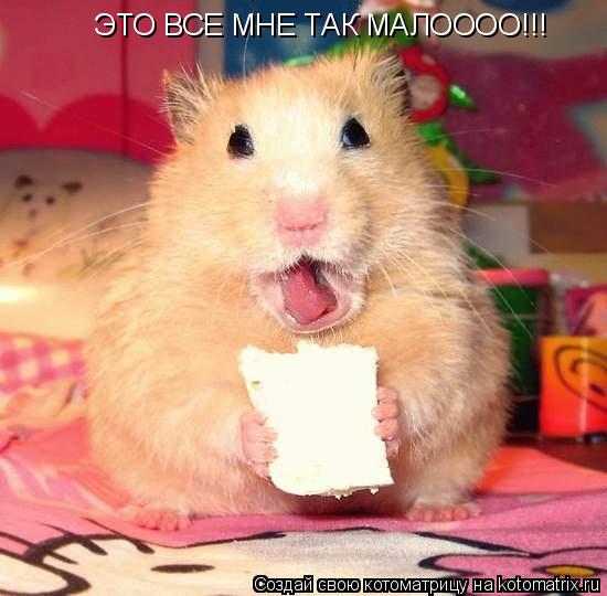 ЭТО ВСЕ МНЕ ТАК МАЛОООО!!!... Котоматрица: ЭТО ВСЕ МНЕ ТАК МАЛОООО!!!